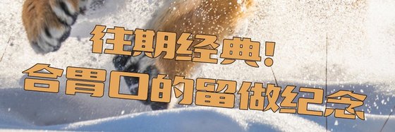往期经典！合胃口的，留做纪念